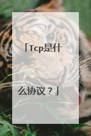 Tcp是什么协议？