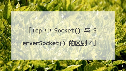 Tcp 中 Socket() 与 ServerSocket() 的区别？