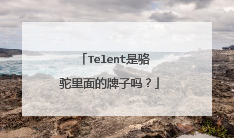 Telent是骆驼里面的牌子吗?