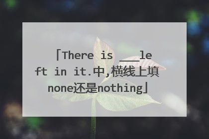 There is ___left in it.中,横线上填none还是nothing