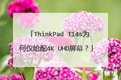 ThinkPad T14s为何仅给配4K UHD屏幕？