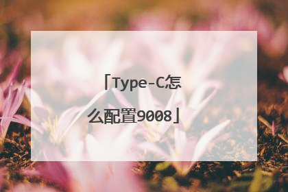 Type-C怎么配置9008