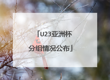 U23亚洲杯分组情况公布