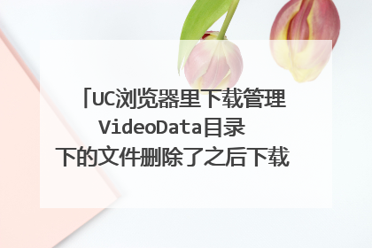UC浏览器里下载管理VideoData目录下的文件删除了之后下载的视频就不能看了，这还能找回文件 ？