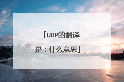 UDP的翻译是:什么意思