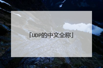 UDP的中文全称