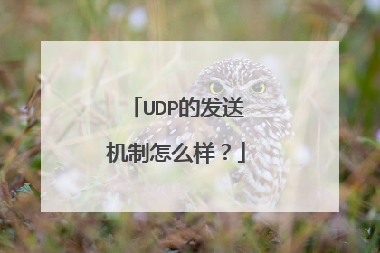 UDP的发送机制怎么样？