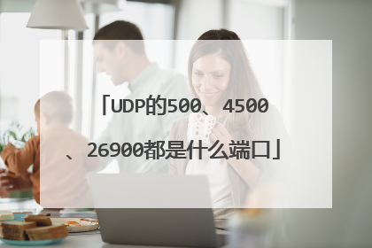 UDP的500、4500、26900都是什么端口