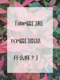 UDP端口和TCP端口指是什么呀?
