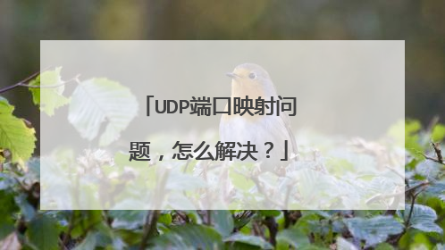 UDP端口映射问题，怎么解决？