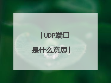 UDP端口是什么意思