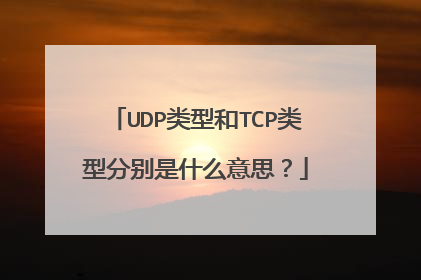 UDP类型和TCP类型分别是什么意思?