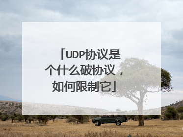 UDP协议是个什么破协议,如何限制它