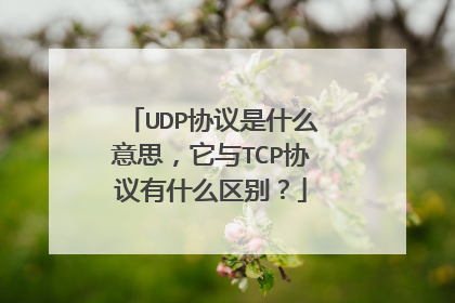 UDP协议是什么意思，它与TCP协议有什么区别？