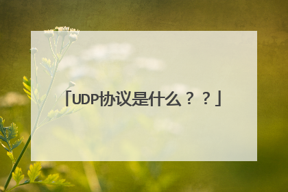 UDP协议是什么？？