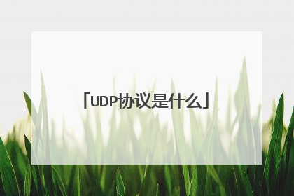 UDP协议是什么