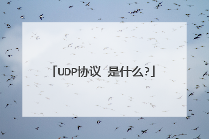 UDP协议 是什么?