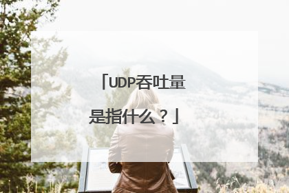 UDP吞吐量是指什么？