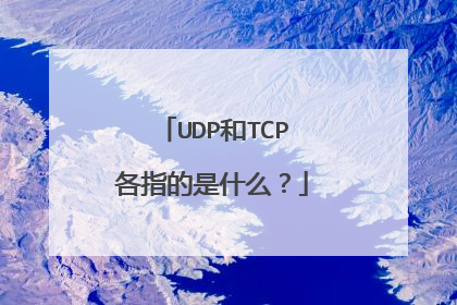 UDP和TCP各指的是什么?