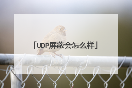 UDP屏蔽会怎么样