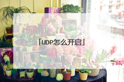 UDP怎么开启