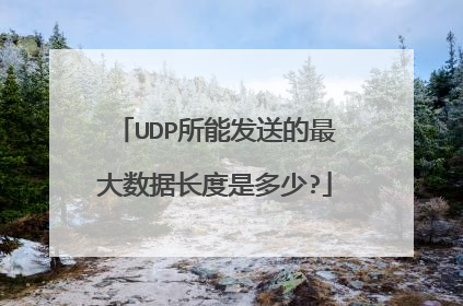 UDP所能发送的最大数据长度是多少?