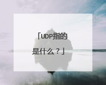 UDP指的是什么？