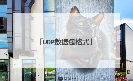 UDP数据包格式