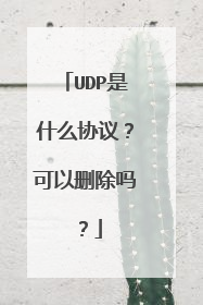 UDP是什么协议？可以删除吗？