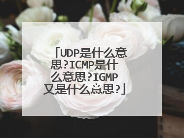 UDP是什么意思?ICMP是什么意思?IGMP又是什么意思?