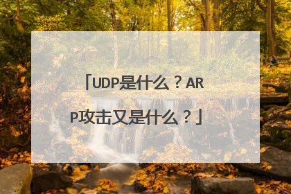 UDP是什么？ARP攻击又是什么？