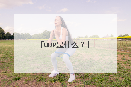 UDP是什么？
