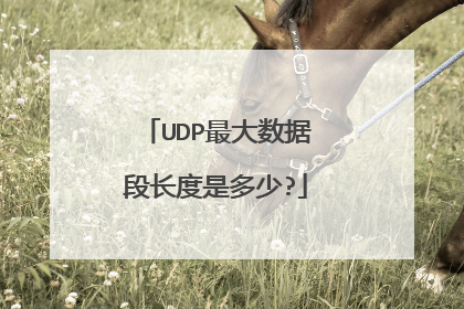 UDP最大数据段长度是多少?