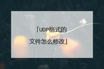 UDP格式的文件怎么修改