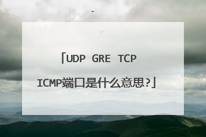 UDP GRE TCP ICMP端口是什么意思?