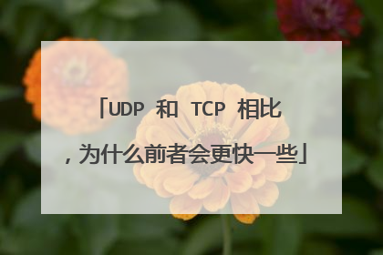 UDP 和 TCP 相比，为什么前者会更快一些