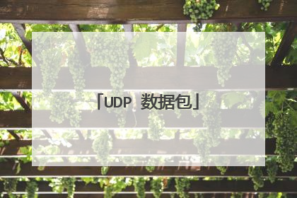 UDP 数据包