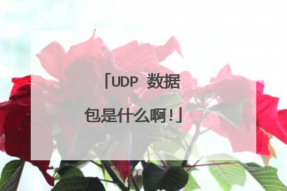 UDP 数据包是什么啊!