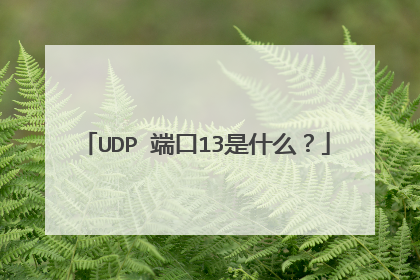 UDP 端口13是什么？