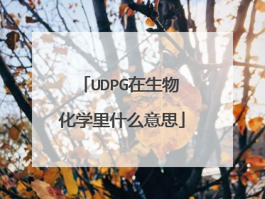 UDPG在生物化学里什么意思