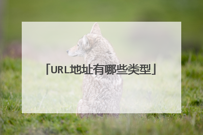 URL地址有哪些类型