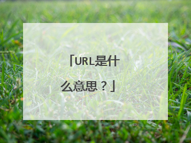 URL是什么意思?