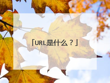 URL是什么?