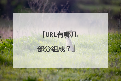 URL有哪几部分组成？