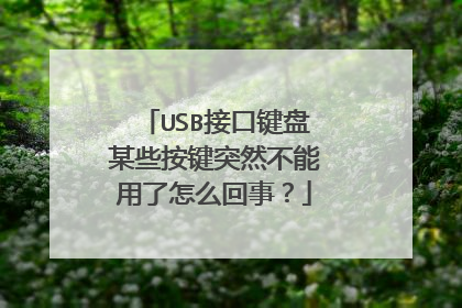 USB接口键盘某些按键突然不能用了怎么回事?
