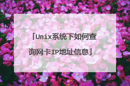 Unix系统下如何查询网卡IP地址信息