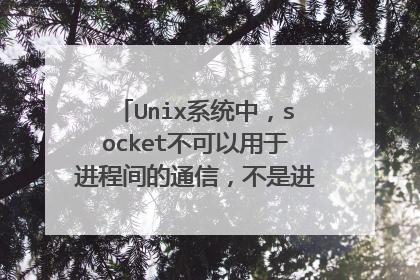 Unix系统中，socket不可以用于进程间的通信，不是进程间的通信方式？