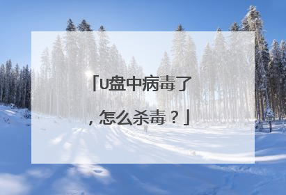U盘中病毒了，怎么杀毒？