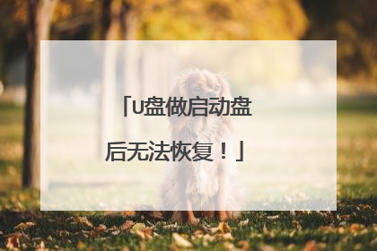U盘做启动盘后无法恢复!