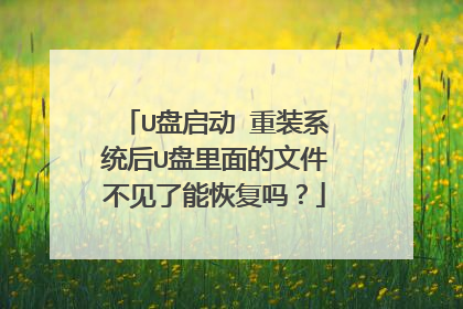 U盘启动 重装系统后U盘里面的文件不见了能恢复吗?